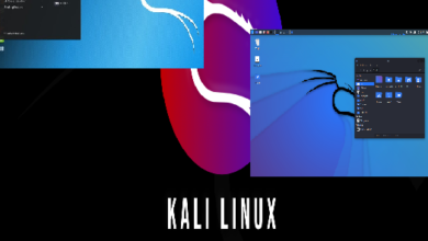 To[p 10 kali linux tools for hacking