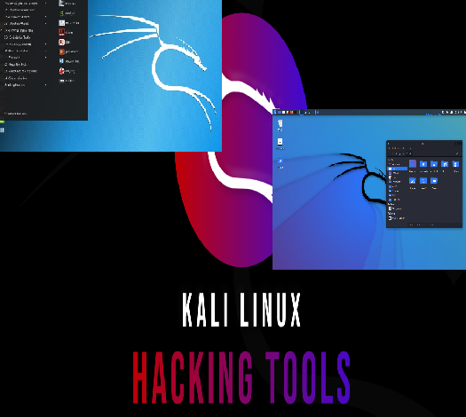 To[p 10 kali linux tools for hacking