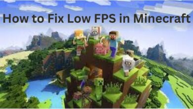 How to Fix Low FPS in Minecraft