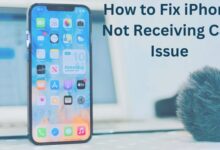 How to Fix iPhone Not Receiving Call Issue