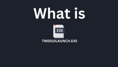What is TwDsUiLaunch.exe