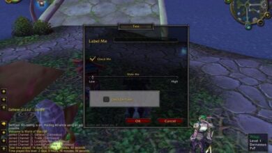 How to Edit and Customize Windows in World of Warcraft 2022