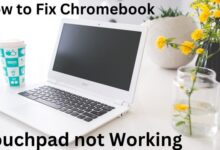 How to Fix Chromebook Touchpad not Working