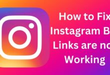 How to Fix Instagram Bio Links are not Working