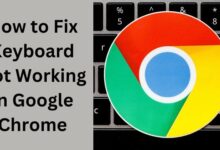 How to Fix Keyboard Not Working in Google Chrome