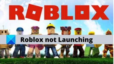 How to Fix Roblox not Launching (2022)