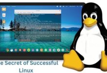 The Secret of Successful Linux
