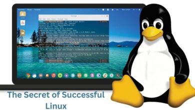 The Secret of Successful Linux