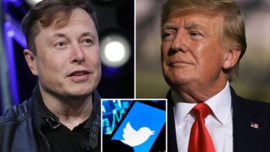 Elon Musk Says Twitter won’t Restore Banned Accounts for Weeks