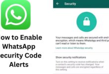 How to Enable WhatsApp Security Code Alerts