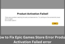 Fix Epic Games Store Error
