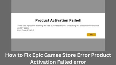 Fix Epic Games Store Error