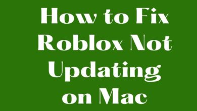 How to Fix Roblox Not Updating on Mac
