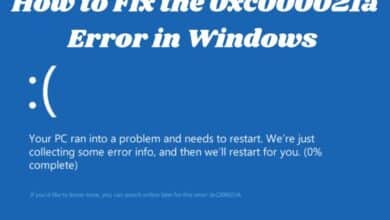 0xc000021a Error in Windows