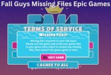Fall Guys Missing Files Epic Games