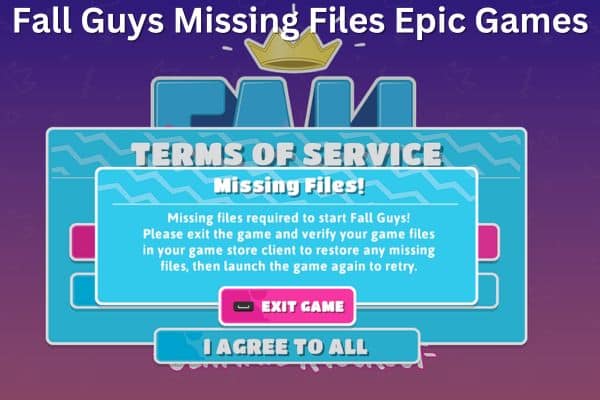 Fall Guys Missing Files Epic Games