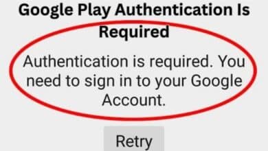 Google Play Authentication Is Required