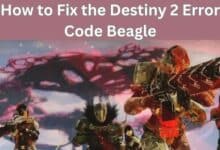 Fix the Destiny 2 Error Code Beagle