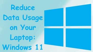 Reduce Data Usage on Your Laptop