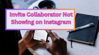 Invite Collaborator Not Showing on Instagram