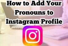 Pronouns to Instagram Profile