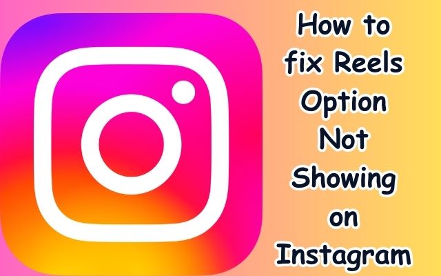 Reels Option Not Showing on Instagram
