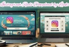 Instagram Reels Download by Link!