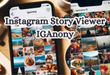 Instagram Story Viewer IGAnony