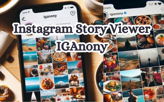 Instagram Story Viewer IGAnony