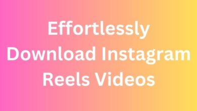 Download Instagram Reels Videos