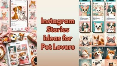 Instagram Stories for Pet Lovers