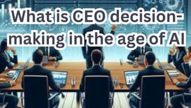 What is CEO decision-making in the age of AI