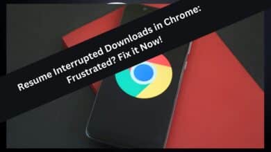 Resume Interrupted Downloads in Chrome