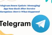 Telegram Down Update