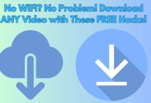 Download Any Video From the Internet