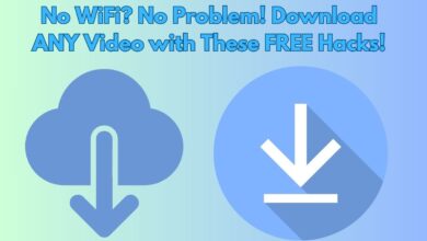 Download Any Video From the Internet